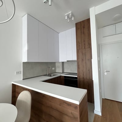 Rent of a furnished 2-room apartment, 45 m², New Belgrade, Serbia